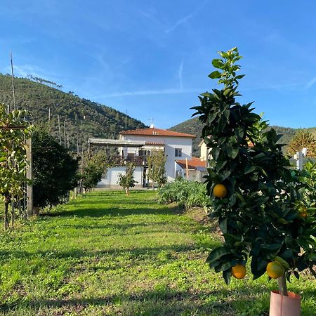 La Tenuta Di Eva Πίζα Εξωτερικό φωτογραφία