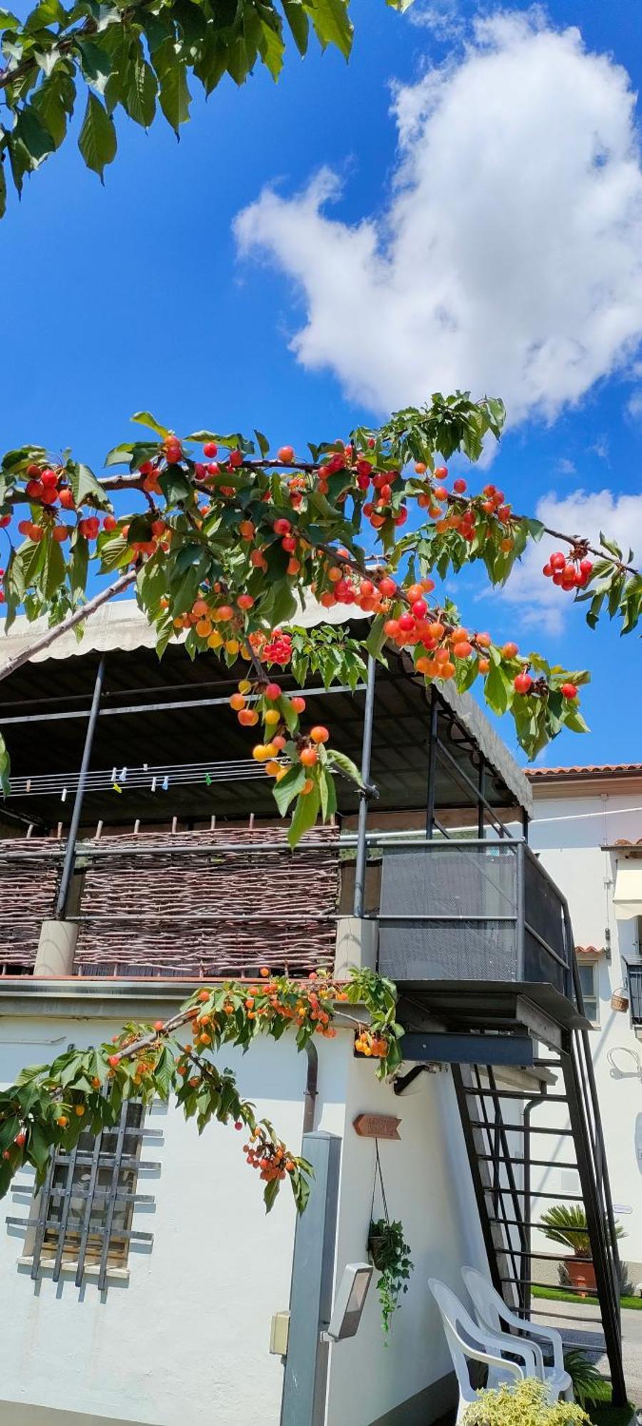 La Tenuta Di Eva Πίζα Εξωτερικό φωτογραφία