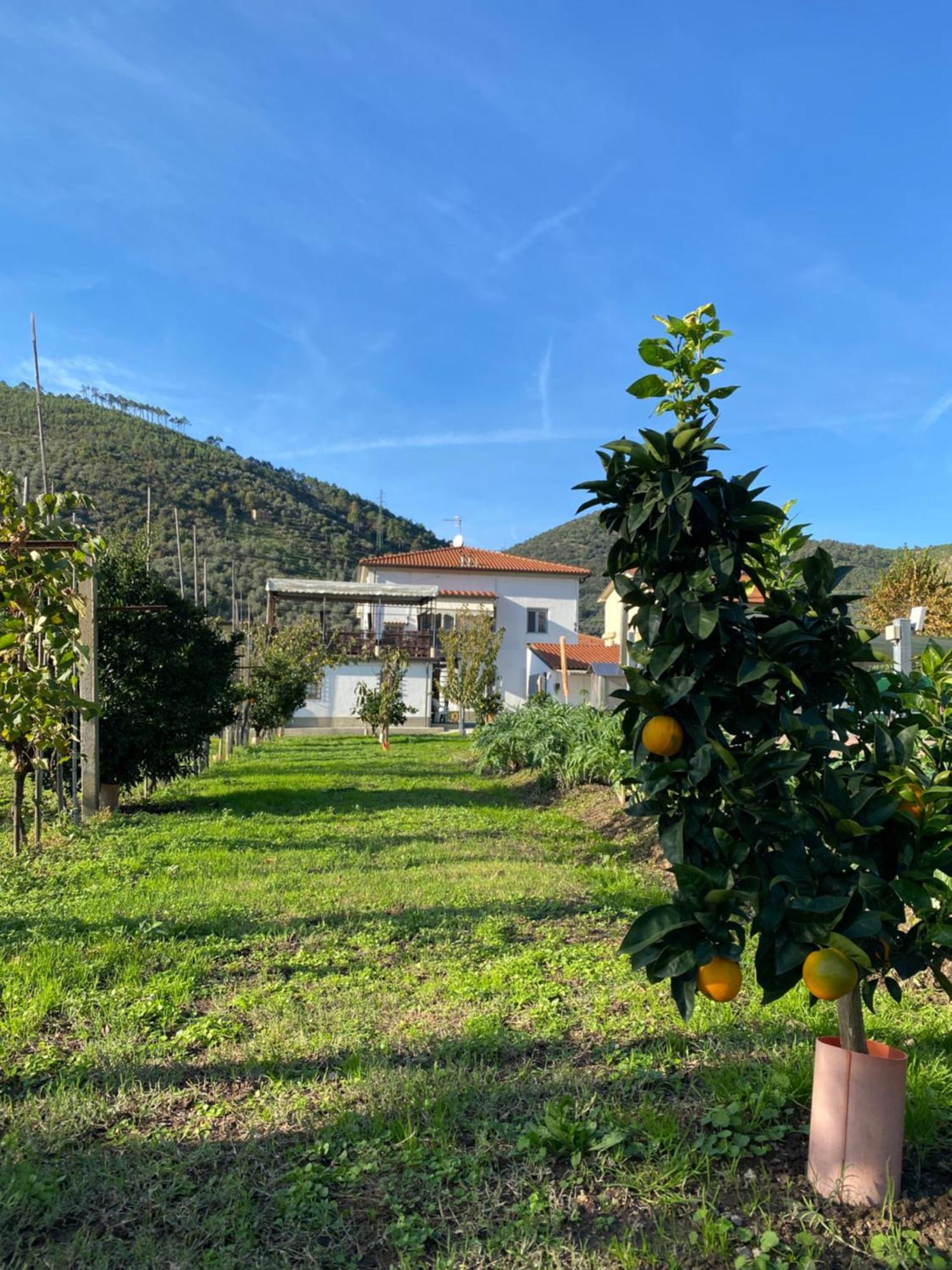 La Tenuta Di Eva Πίζα Εξωτερικό φωτογραφία