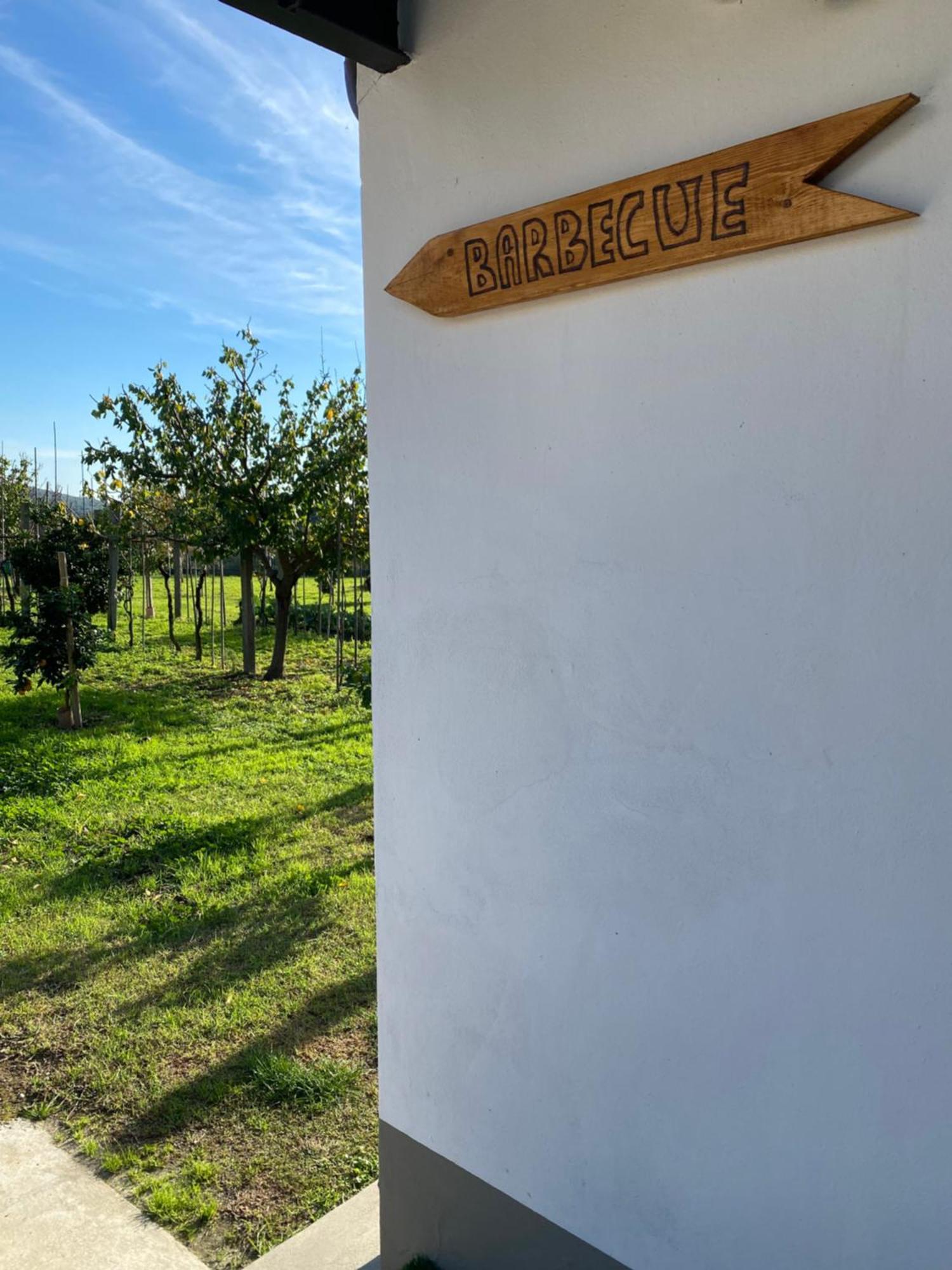 La Tenuta Di Eva Πίζα Εξωτερικό φωτογραφία