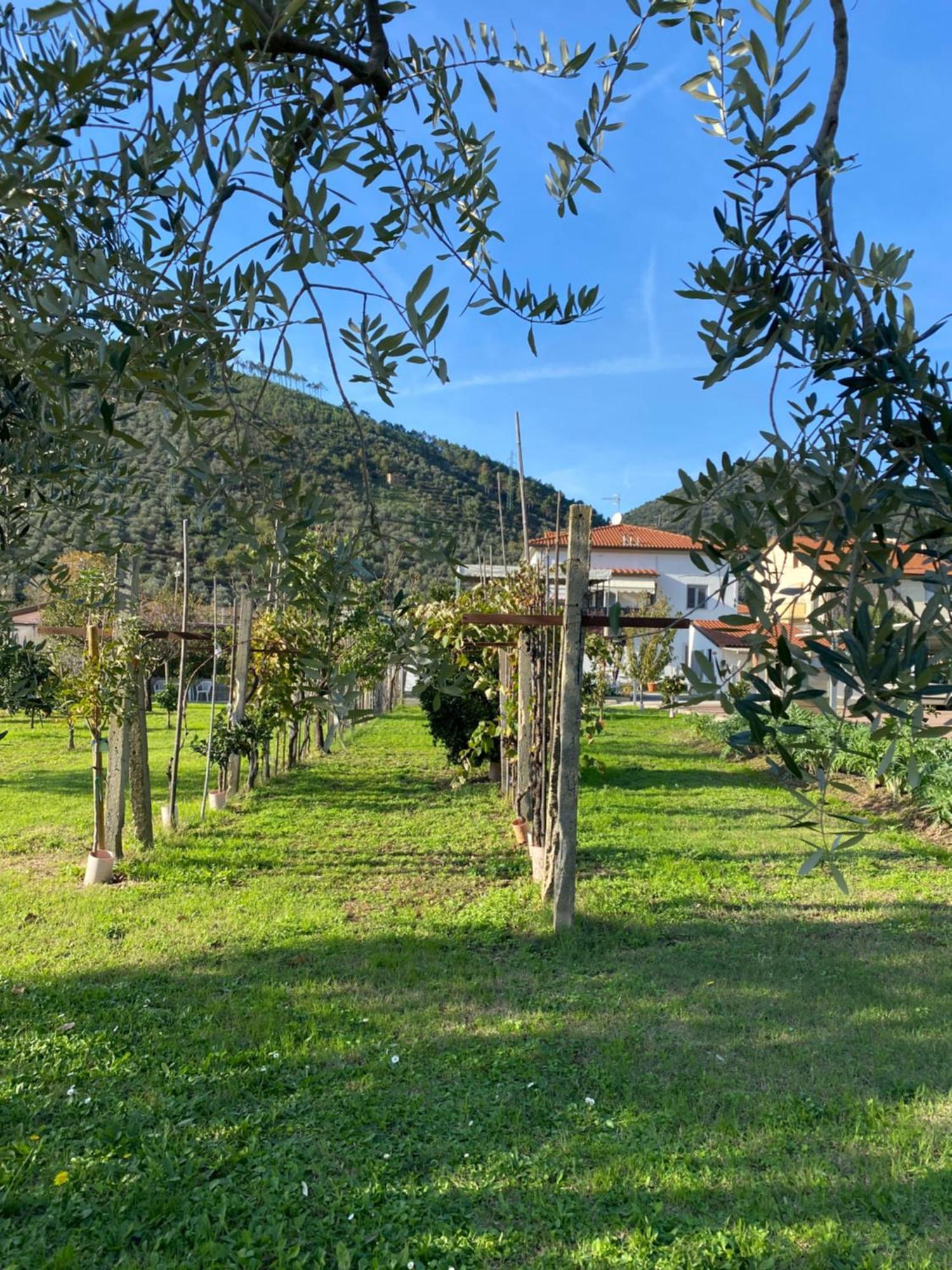 La Tenuta Di Eva Πίζα Εξωτερικό φωτογραφία