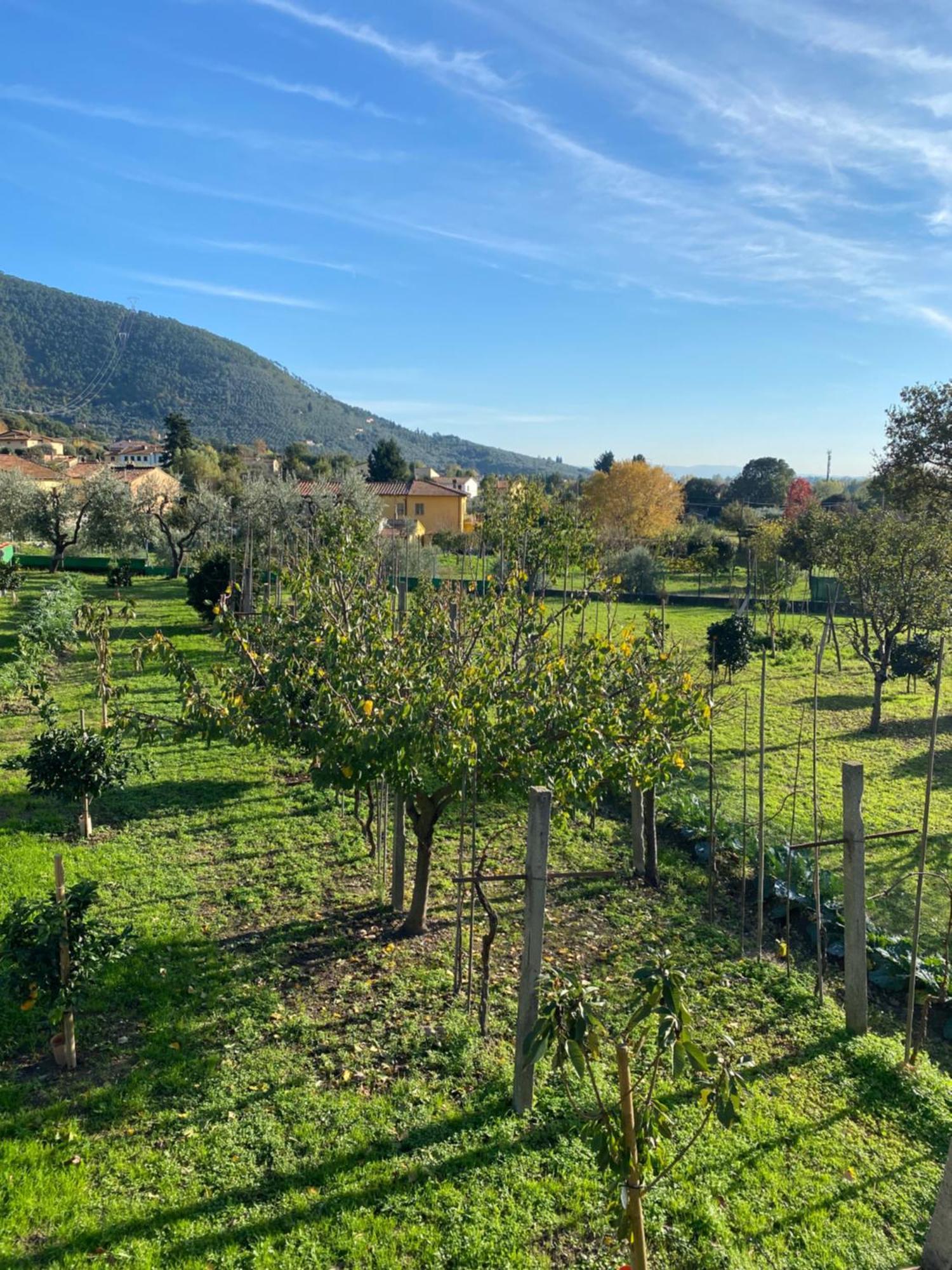 La Tenuta Di Eva Πίζα Εξωτερικό φωτογραφία