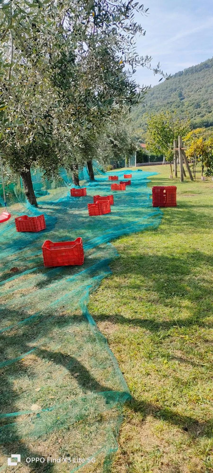 La Tenuta Di Eva Πίζα Εξωτερικό φωτογραφία